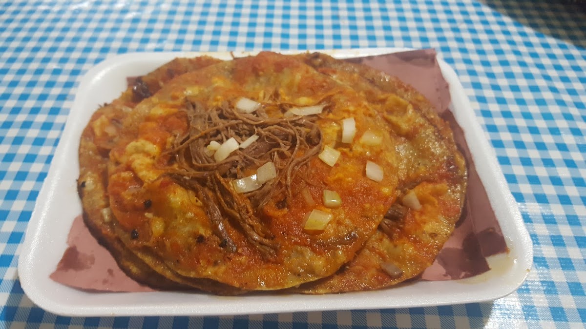 Garnachas Palafox-10